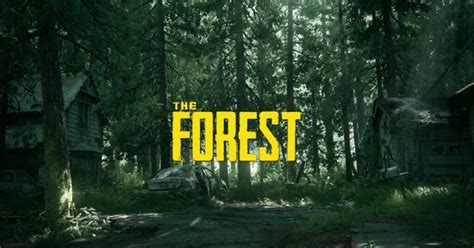 The Forest: Gizemli Adada Korkunç Bir Hayatta Kalma Mücadelesi!